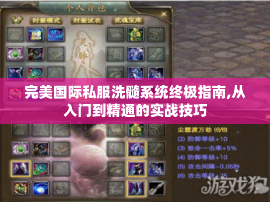 完美国际私服洗髓系统终极指南,从入门到精通的实战技巧