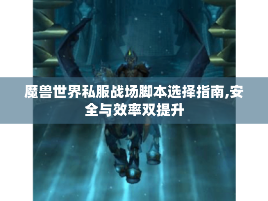 魔兽世界私服战场脚本选择指南,安全与效率双提升