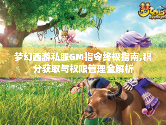 梦幻西游私服GM指令终极指南,积分获取与权限管理全解析