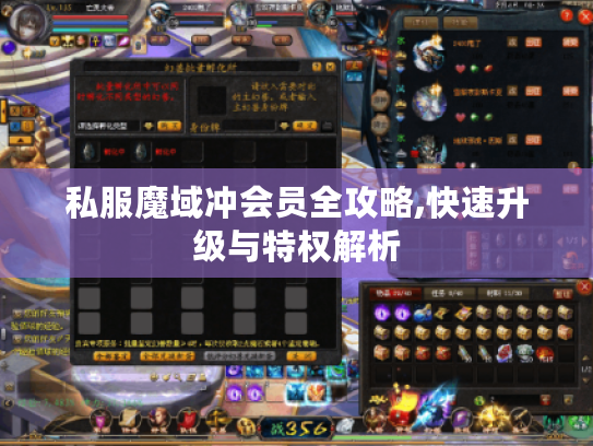 私服魔域冲会员全攻略,快速升级与特权解析