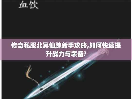 传奇私服北冥仙踪新手攻略,如何快速提升战力与装备?