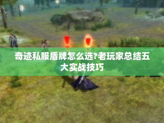 奇迹私服盾牌怎么选?老玩家总结五大实战技巧 奇迹私服盾牌怎么选?老玩家总结五大实战技巧