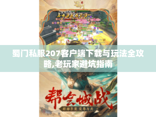 蜀门私服207客户端下载与玩法全攻略,老玩家避坑指南