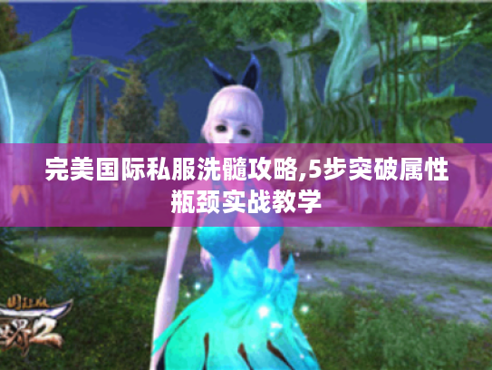 完美国际私服洗髓攻略,5步突破属性瓶颈实战教学