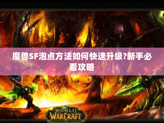 魔兽SF泡点方法如何快速升级?新手必看攻略