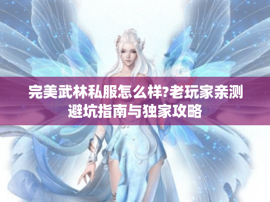 完美武林私服怎么样?老玩家亲测避坑指南与独家攻略