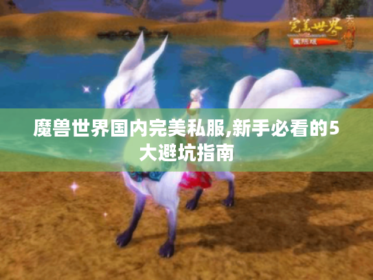 魔兽世界国内完美私服,新手必看的5大避坑指南