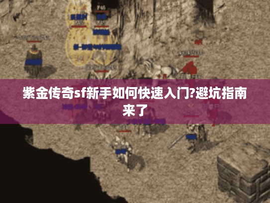 紫金传奇sf新手如何快速入门?避坑指南来了