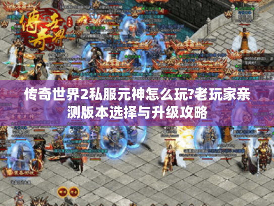 传奇世界2私服元神怎么玩?老玩家亲测版本选择与升级攻略