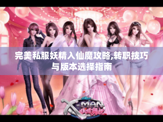 完美私服妖精入仙魔攻略,转职技巧与版本选择指南