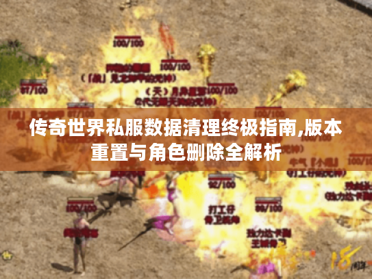 传奇世界私服数据清理终极指南,版本重置与角色删除全解析