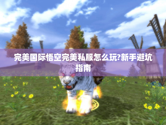 完美国际悟空完美私服怎么玩?新手避坑指南