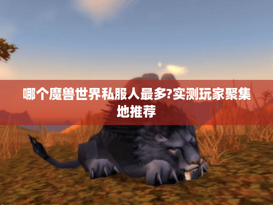 哪个魔兽世界私服人最多?实测玩家聚集地推荐