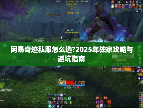 网易奇迹私服怎么选?2025年独家攻略与避坑指南