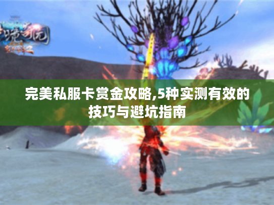 完美私服卡赏金攻略,5种实测有效的技巧与避坑指南