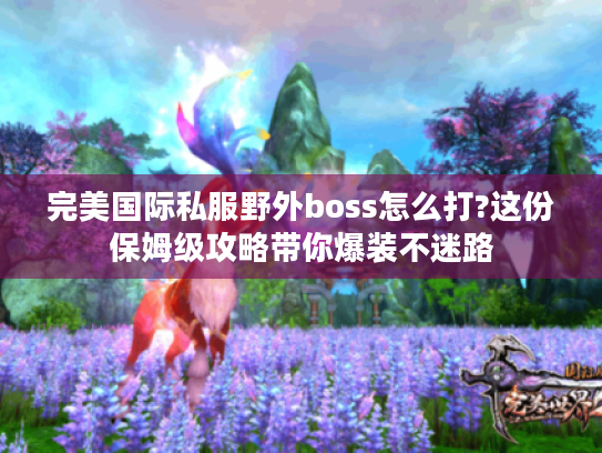 完美国际私服野外boss怎么打?这份保姆级攻略带你爆装不迷路