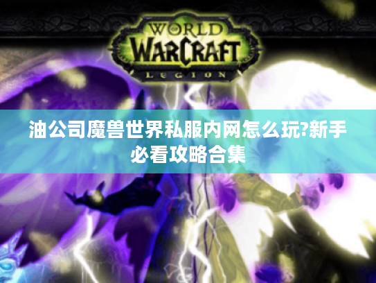 油公司魔兽世界私服内网怎么玩?新手必看攻略合集