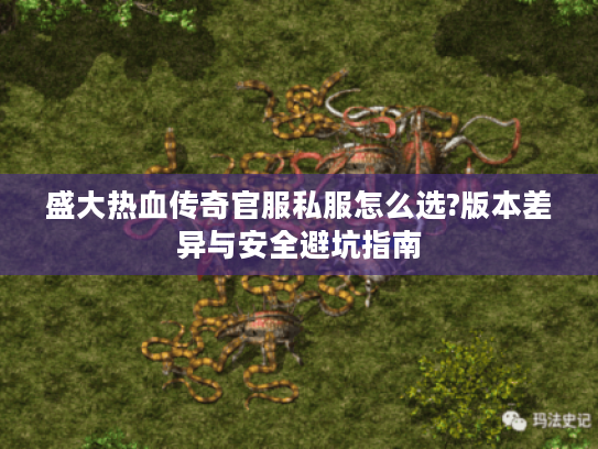 盛大热血传奇官服私服怎么选?版本差异与安全避坑指南