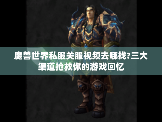 魔兽世界私服关服视频去哪找?三大渠道抢救你的游戏回忆
