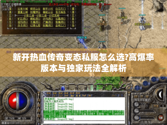 新开热血传奇变态私服怎么选?高爆率版本与独家玩法全解析