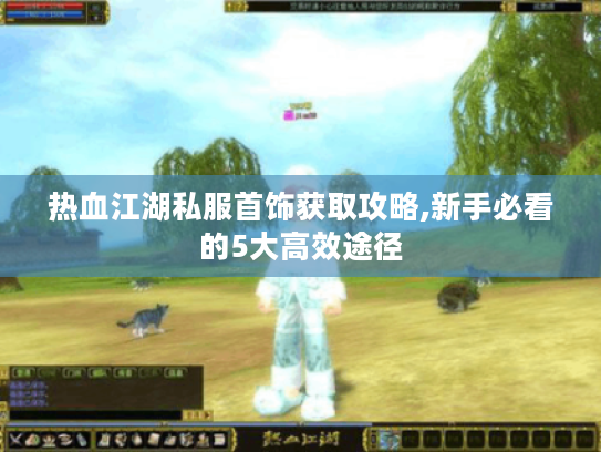 热血江湖私服首饰获取攻略,新手必看的5大高效途径