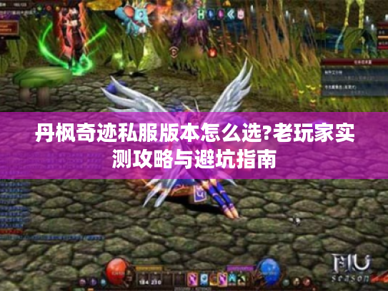 丹枫奇迹私服版本怎么选?老玩家实测攻略与避坑指南