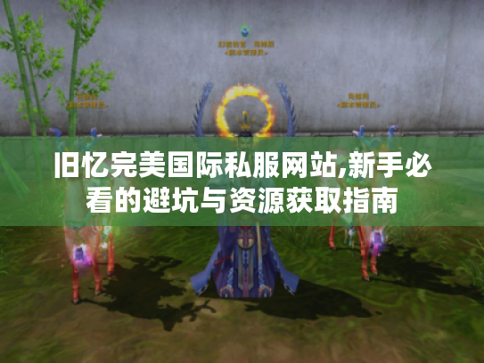 旧忆完美国际私服网站,新手必看的避坑与资源获取指南