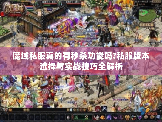 魔域私服真的有秒杀功能吗?私服版本选择与实战技巧全解析