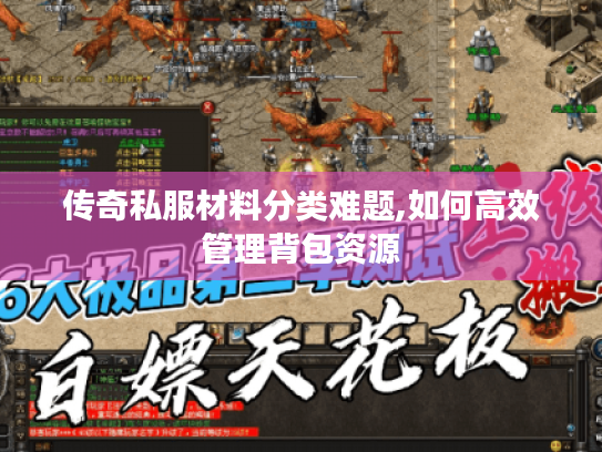 传奇私服材料分类难题,如何高效管理背包资源