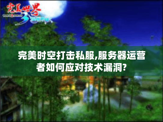 完美时空打击私服,服务器运营者如何应对技术漏洞?