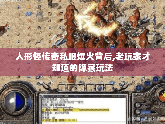 人形怪传奇私服爆火背后,老玩家才知道的隐藏玩法 人形怪传奇私服爆火背后,老玩家才知道的隐藏玩法