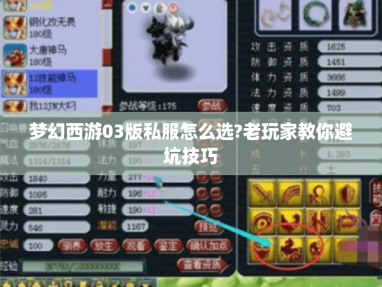 梦幻西游03版私服怎么选?老玩家教你避坑技巧