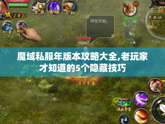魔域私服年版本攻略大全,老玩家才知道的5个隐藏技巧