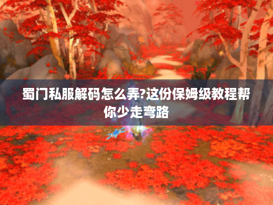 蜀门私服解码怎么弄?这份保姆级教程帮你少走弯路