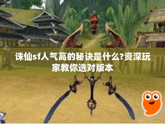 诛仙sf人气高的秘诀是什么?资深玩家教你选对版本