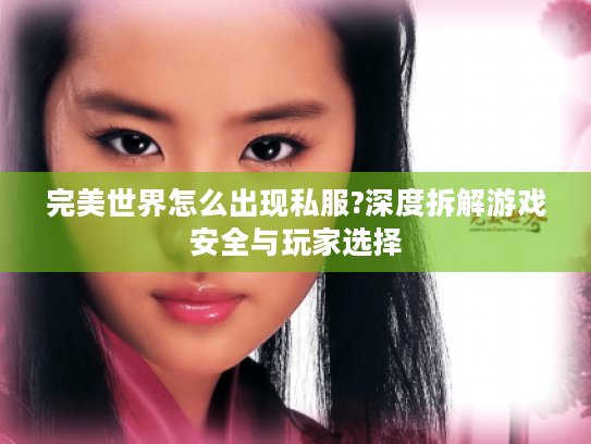 完美世界怎么出现私服?深度拆解游戏安全与玩家选择