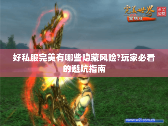 好私服完美有哪些隐藏风险?玩家必看的避坑指南
