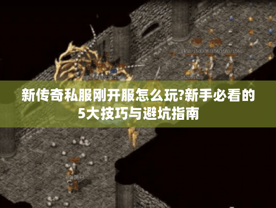 新传奇私服刚开服怎么玩?新手必看的5大技巧与避坑指南
