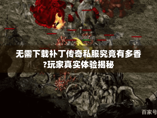 无需下载补丁传奇私服究竟有多香?玩家真实体验揭秘