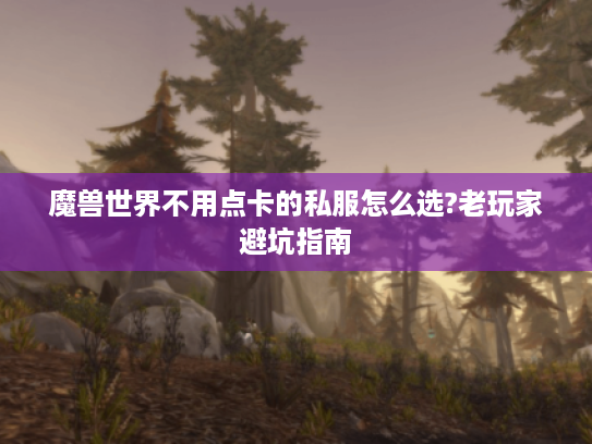魔兽世界不用点卡的私服怎么选?老玩家避坑指南