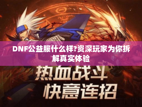 DNF公益服什么样?资深玩家为你拆解真实体验