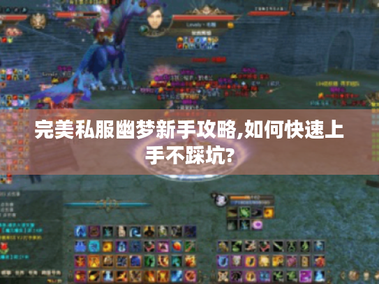 完美私服幽梦新手攻略,如何快速上手不踩坑?