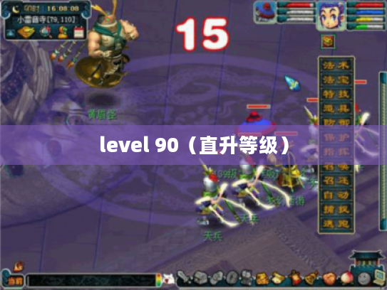 level 90（直升等级）