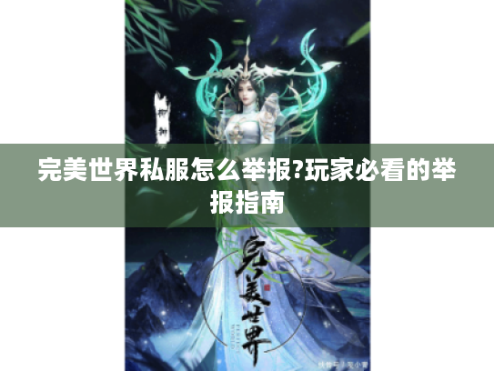 完美世界私服怎么举报?玩家必看的举报指南