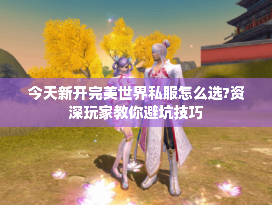 今天新开完美世界私服怎么选?资深玩家教你避坑技巧