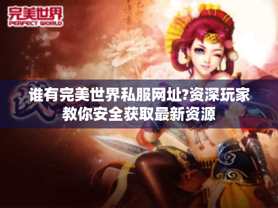 谁有完美世界私服网址?资深玩家教你安全获取最新资源