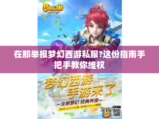 在那举报梦幻西游私服?这份指南手把手教你维权