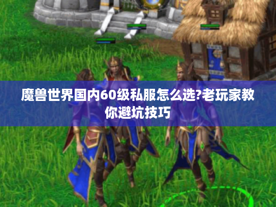 魔兽世界国内60级私服怎么选?老玩家教你避坑技巧