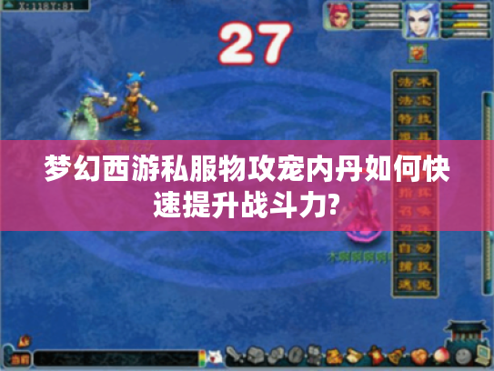 梦幻西游私服物攻宠内丹如何快速提升战斗力?