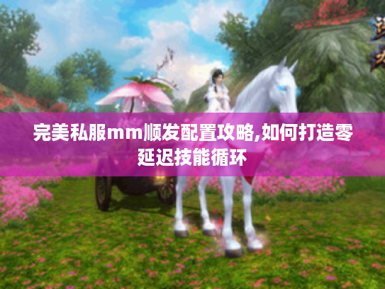 完美私服mm顺发配置攻略,如何打造零延迟技能循环